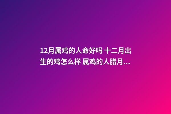 12月属鸡的人命好吗 十二月出生的鸡怎么样 属鸡的人腊月出生命运如何，属鸡的人运气好吗？-第1张-观点-玄机派